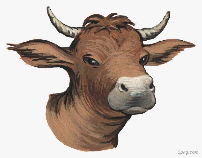 吉林市舒蘭市天德鄉(xiāng)反芻技術(shù)交流會圓滿成功！